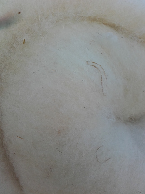 NAPPE DE LAINE coloris naturel