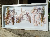 Fleurs séchées sous cloche de verre